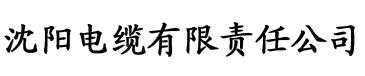 处婆与小雷电缆厂logo